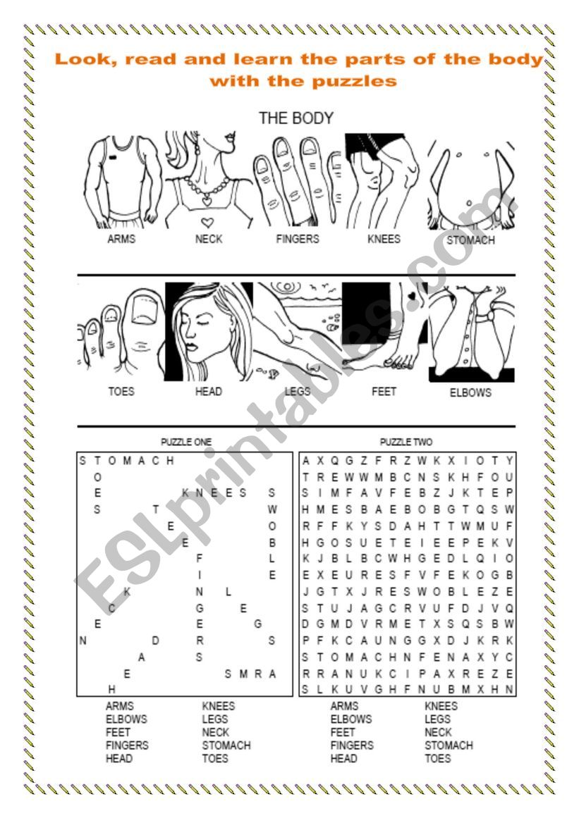 Body puzzles - ESL worksheet by musicangela