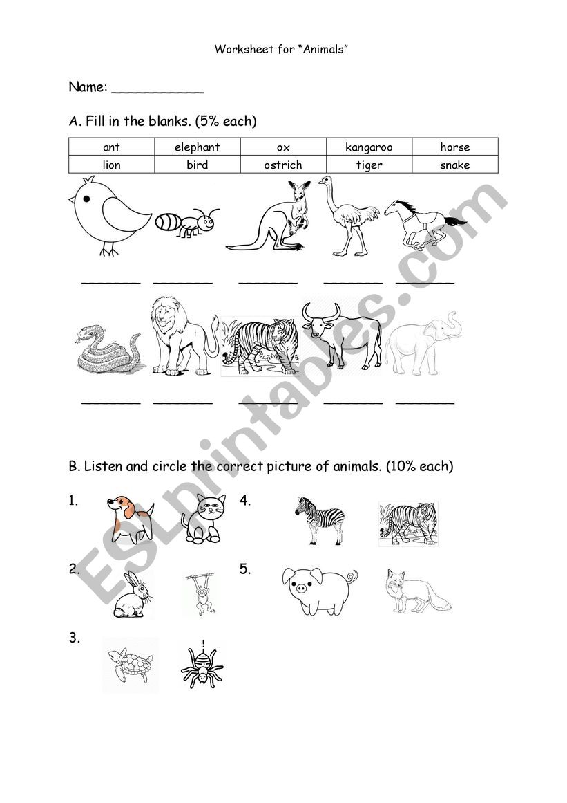 worksheet for animals worksheet