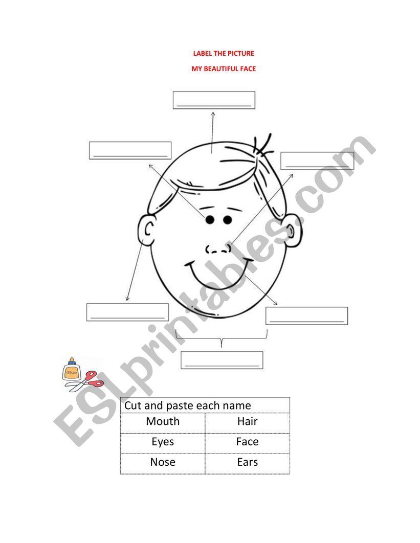 Face Parts Esl Worksheet By Asuarez112 