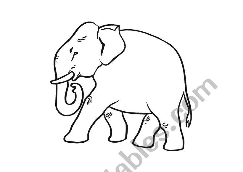 Adjectives for elephants worksheet