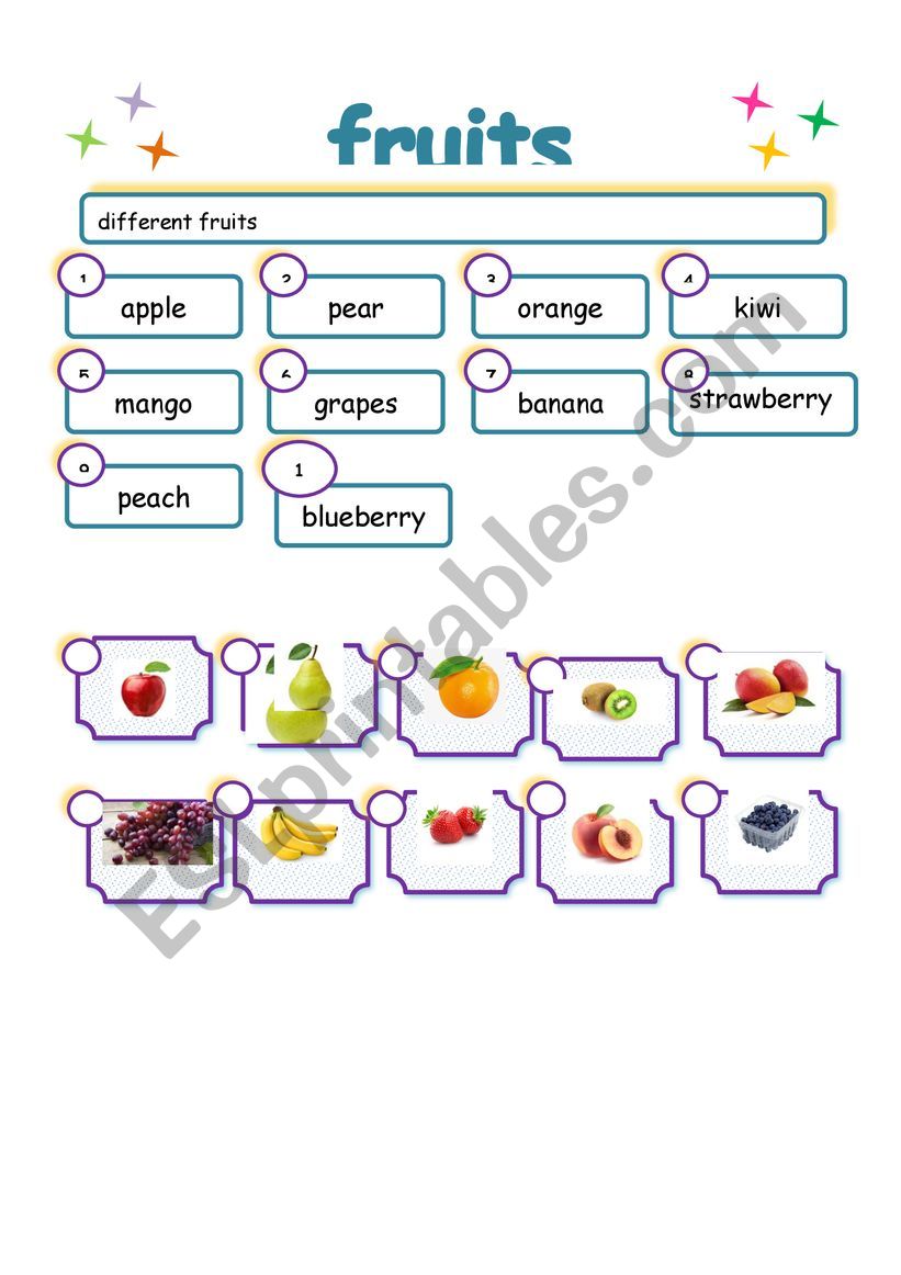 different fruits  worksheet
