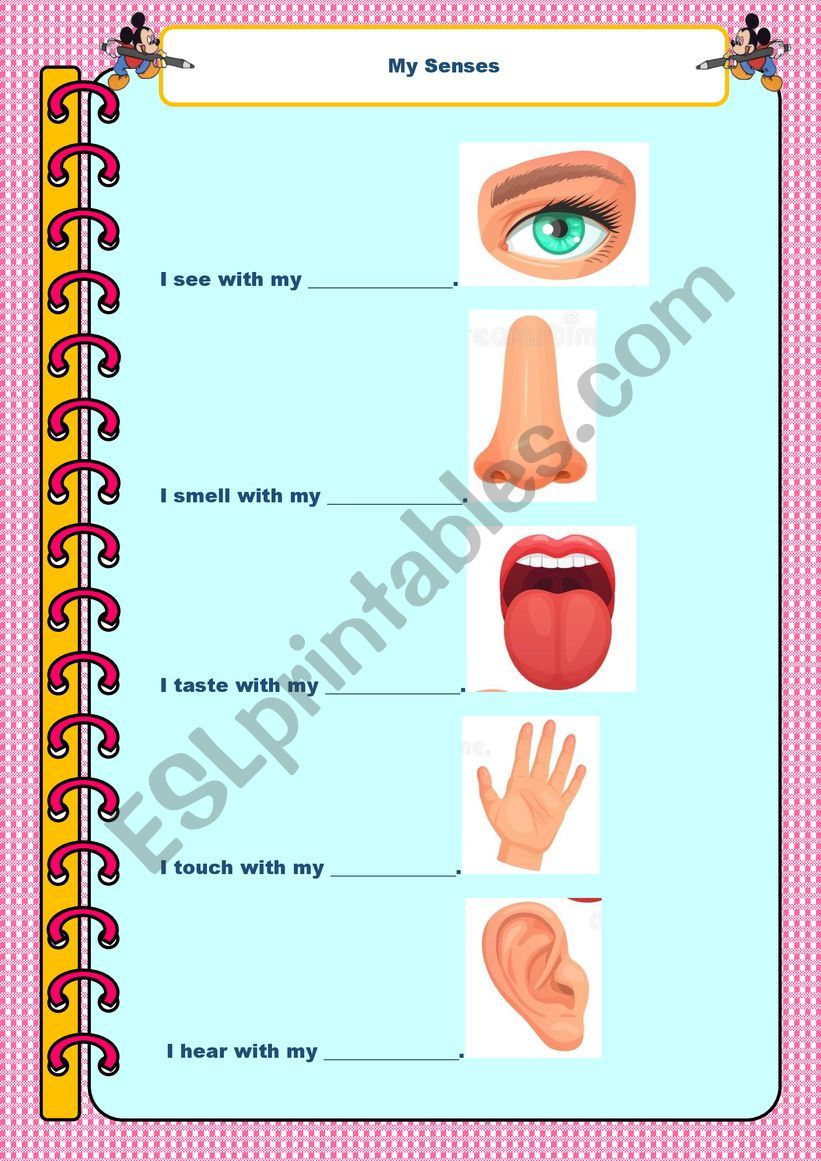 Senses, vocabulary. worksheet