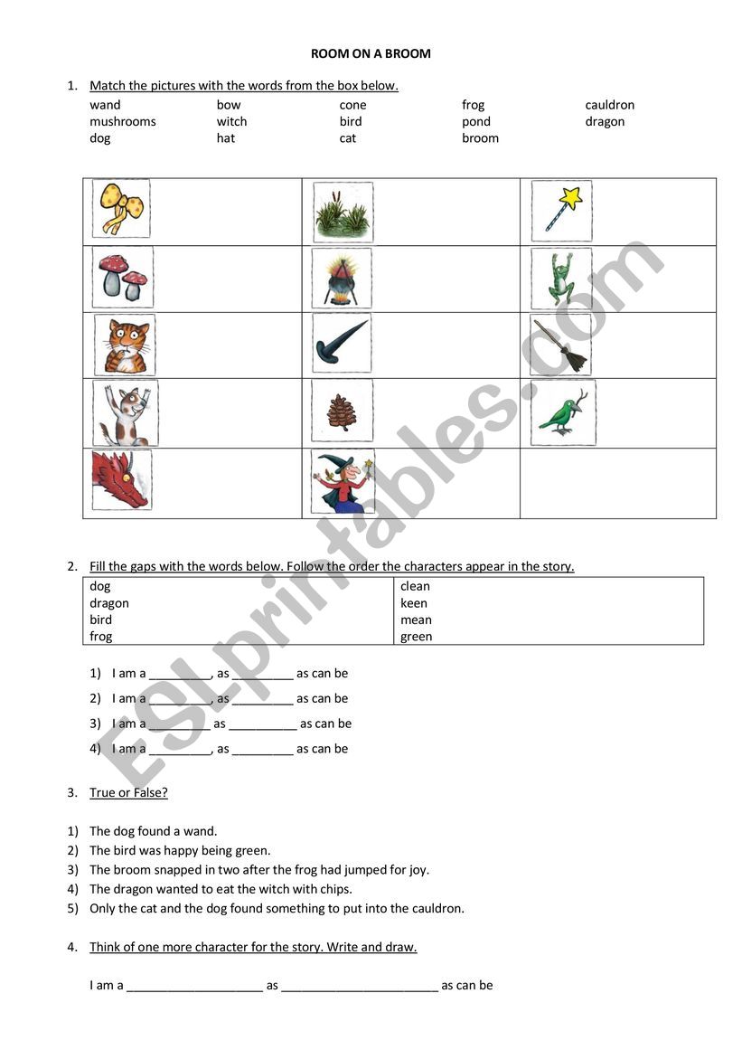 Room on a Broom by Julia Donaldson worksheet