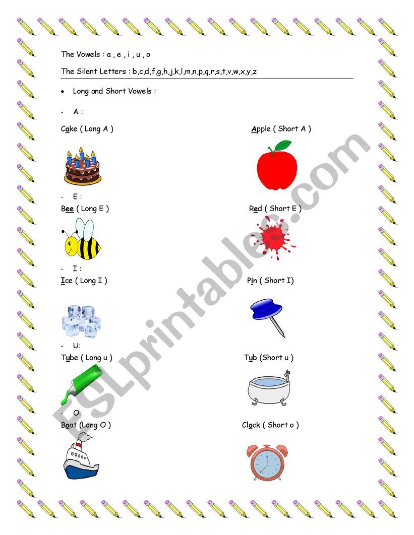 Vowels and Silent Letters worksheet