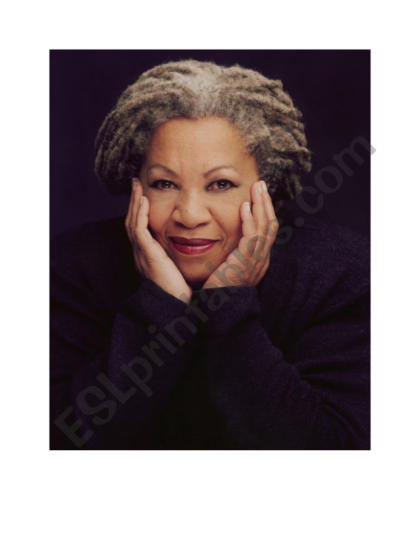 Toni Morrison worksheet