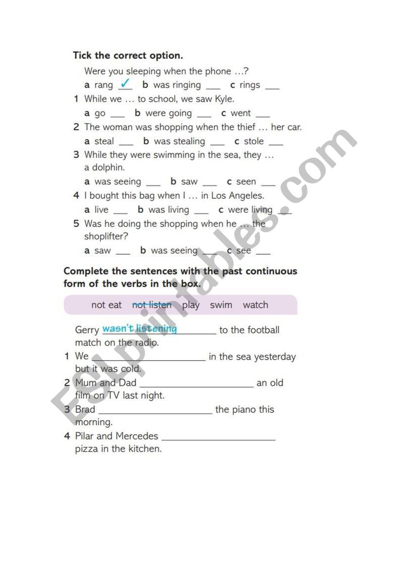 Past Simple & Past Continuous worksheet