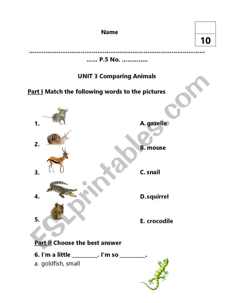 Comparing Amimal worksheet