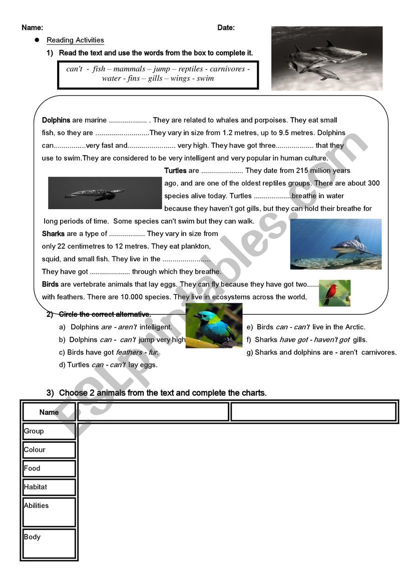 animals  worksheet