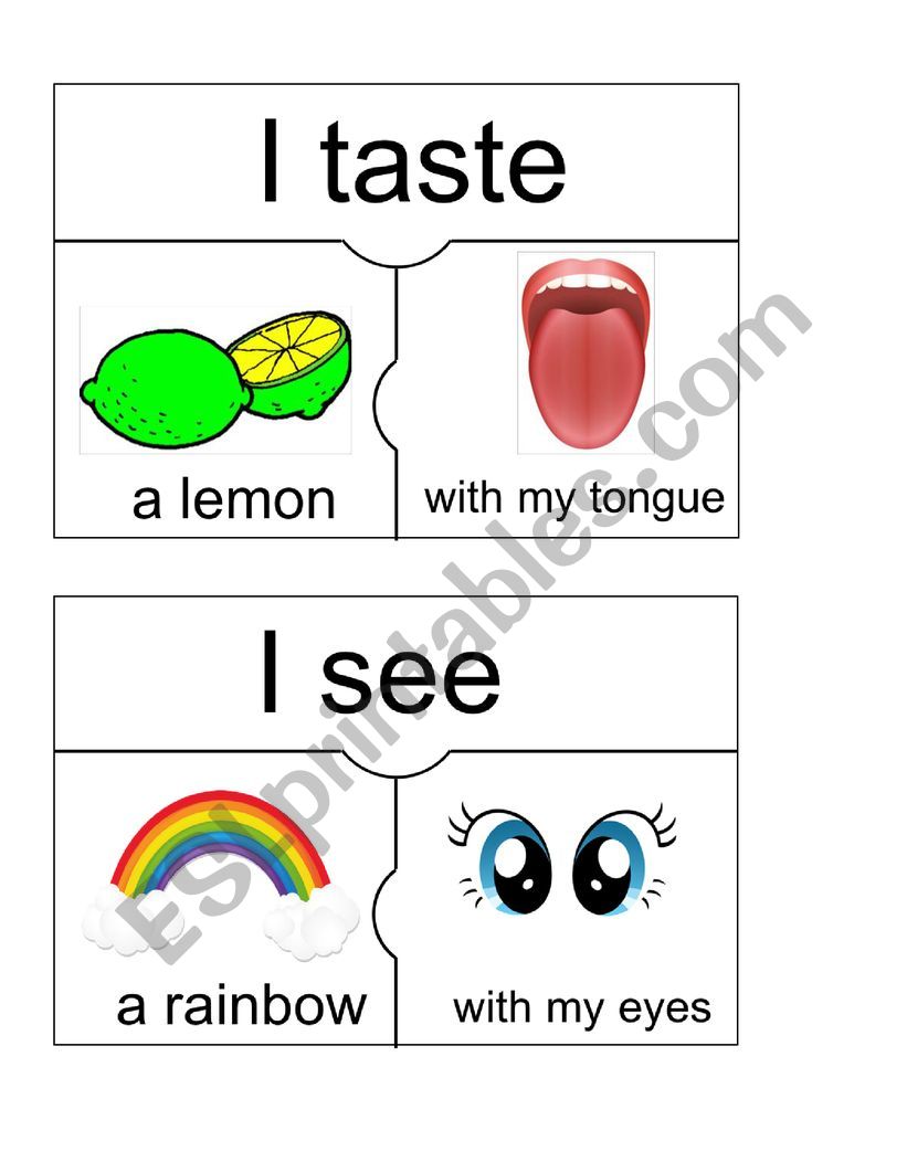 puzzle senses worksheet