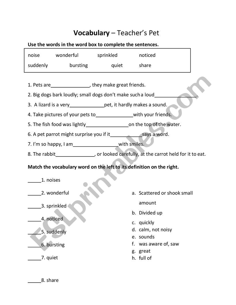 Teacher�s Pet Vocabulary worksheet