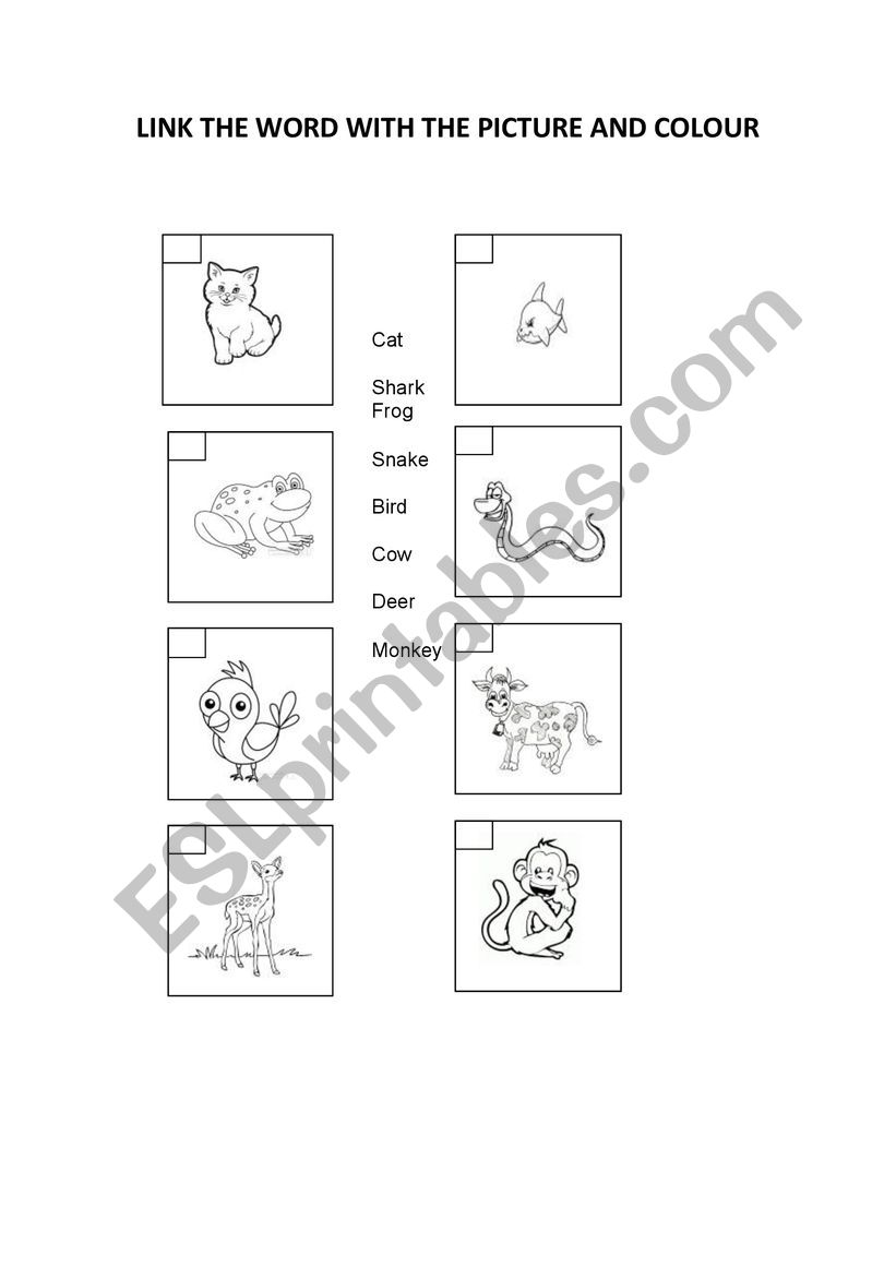 aNIMALS worksheet