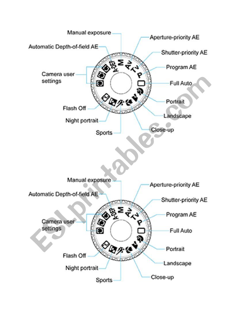 Camera Settings  worksheet