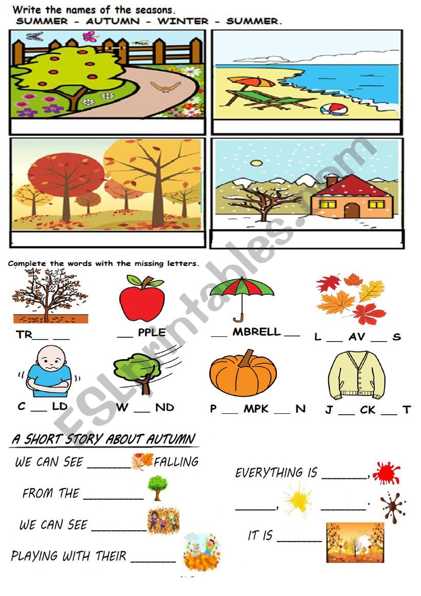 Autumn vocabulary  worksheet