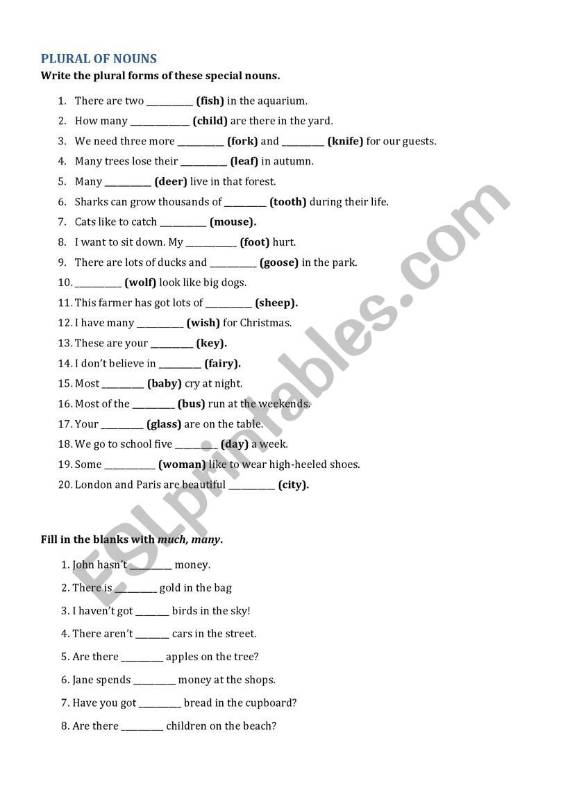 The plural of nouns worksheet