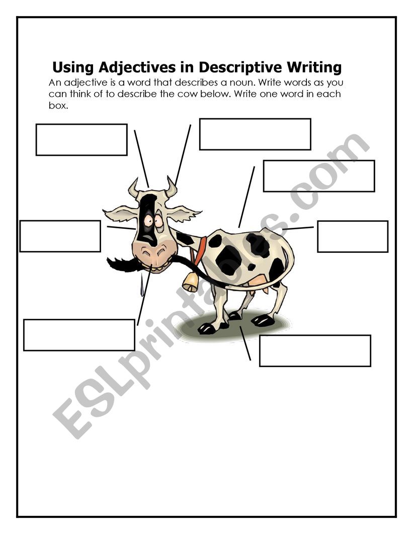 Adjectives worksheet