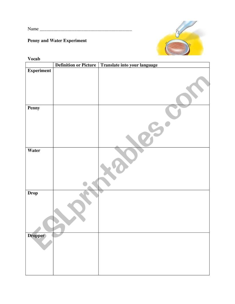 Penny and Water Experiment worksheet