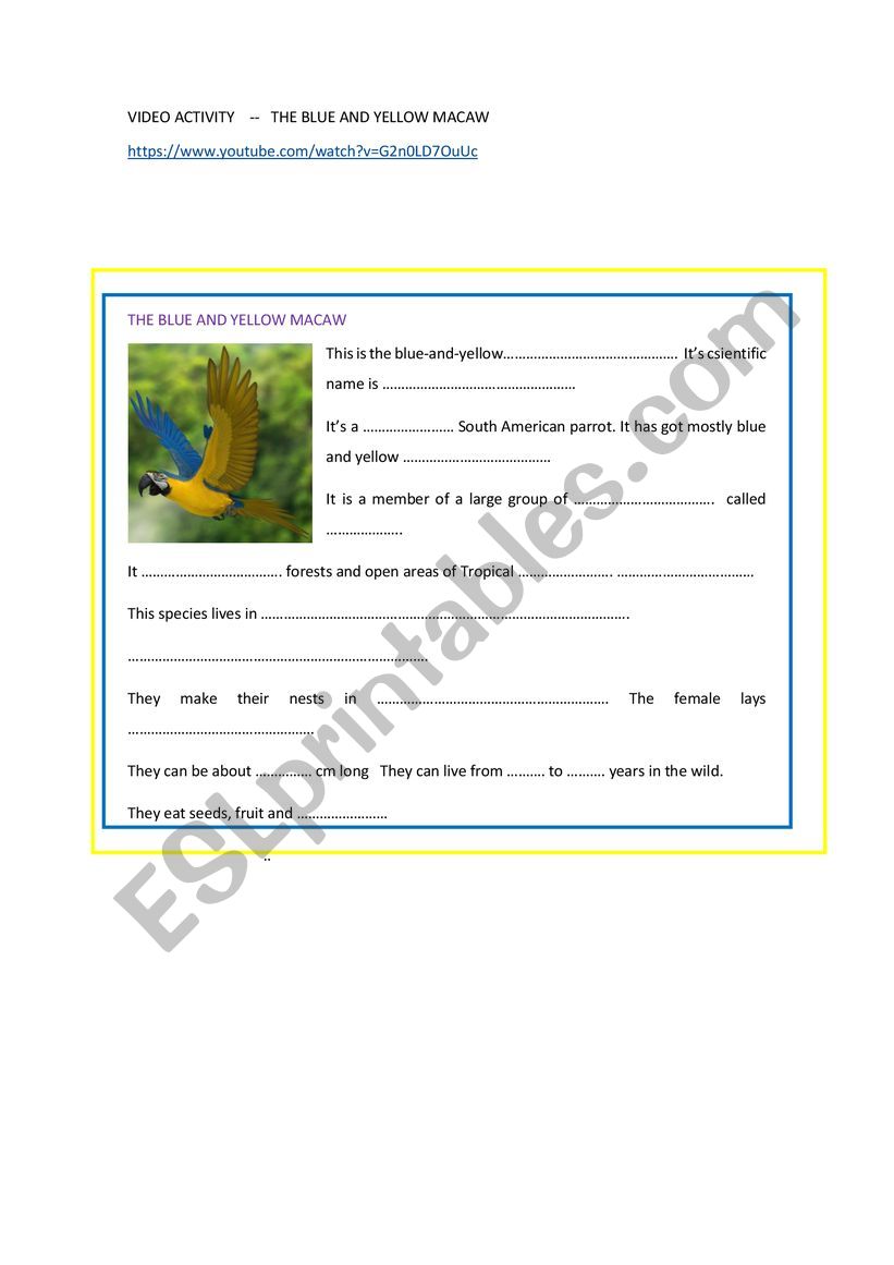 video activity- MACAWS worksheet