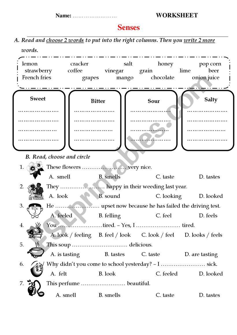 Senses worksheet