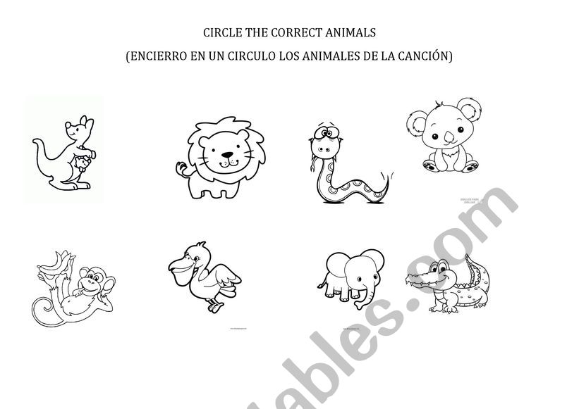 Animals worksheet