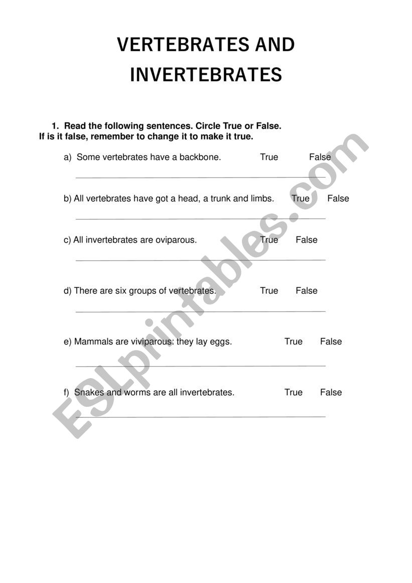 Vertebrates and invertebrates worksheet