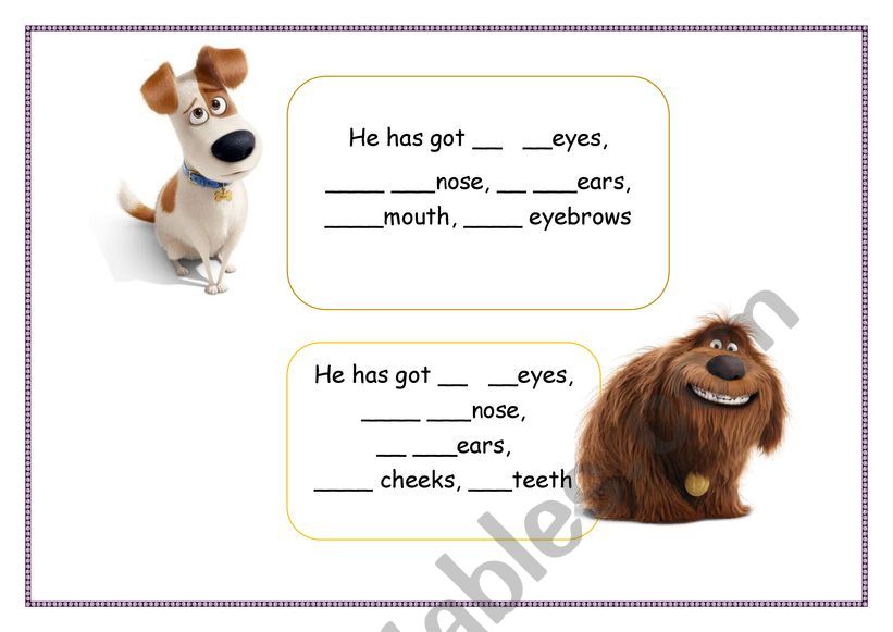 pet description worksheet