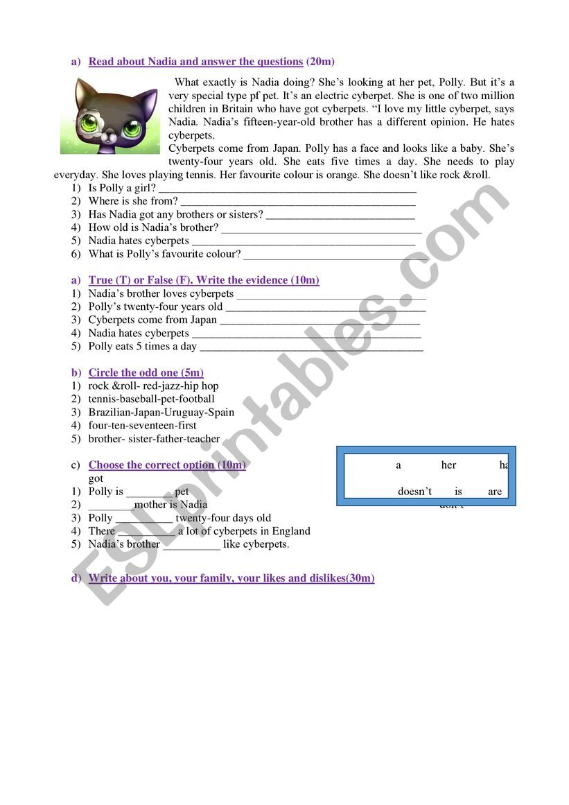 pets worksheet