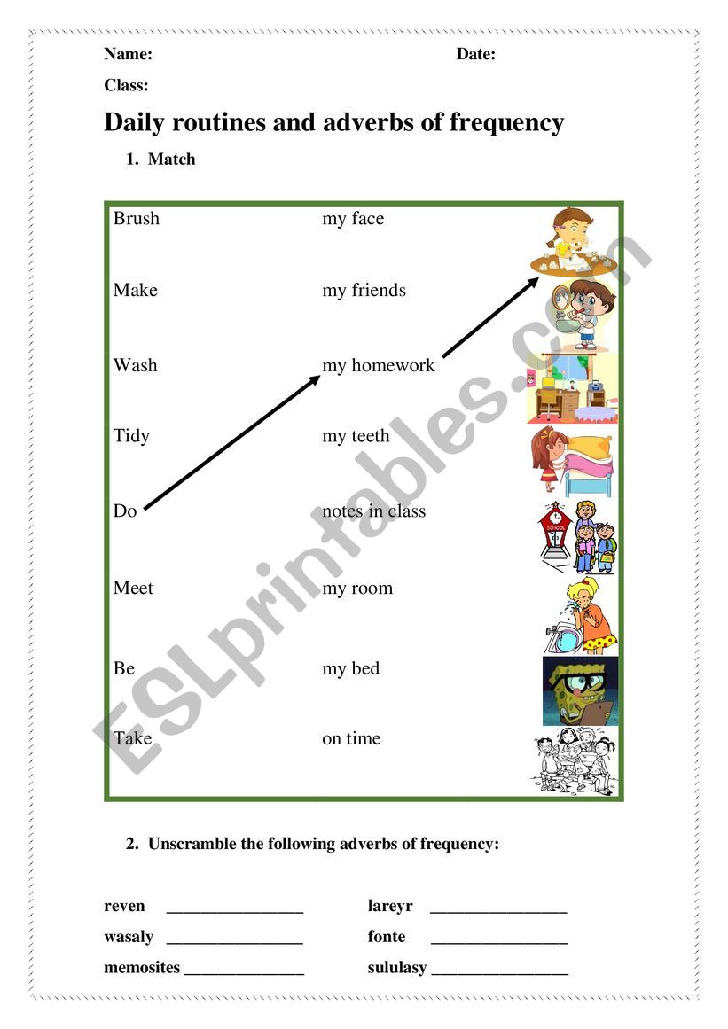 Daily Routines and Adverbs of Frequency