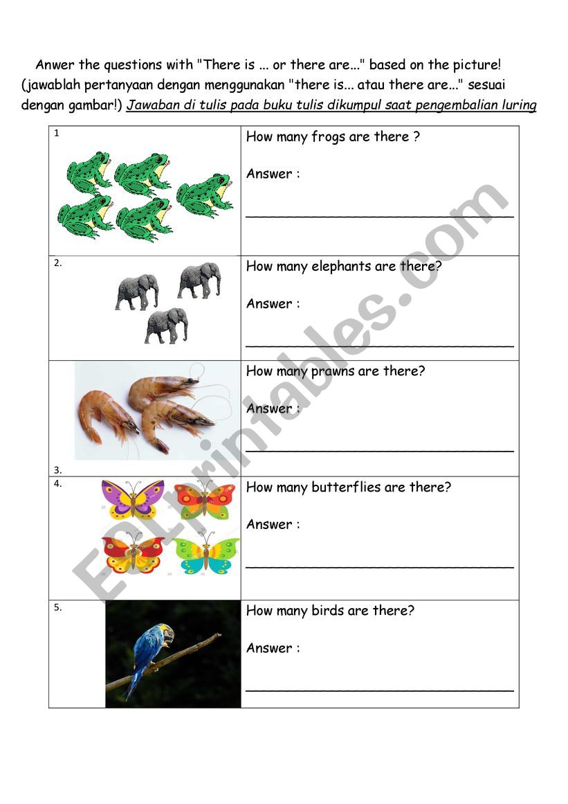 animal worksheet