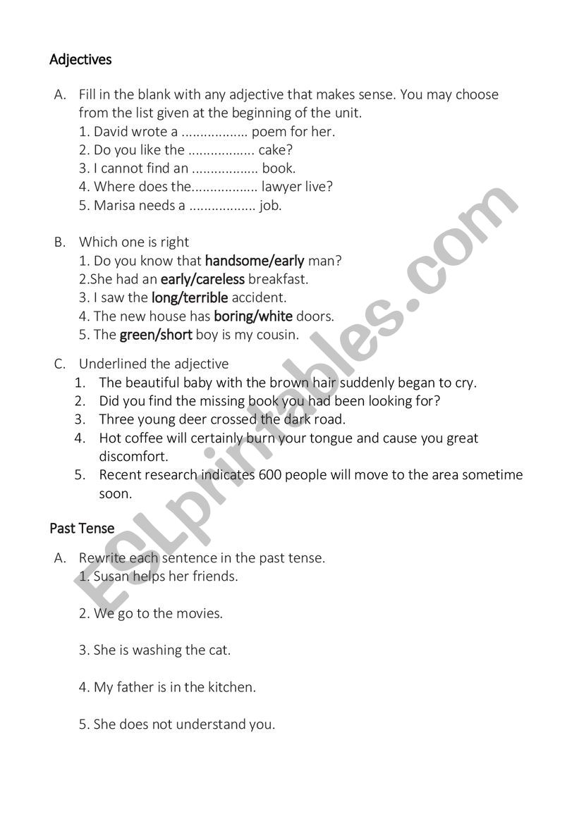 Adjective and Past Exercise worksheet