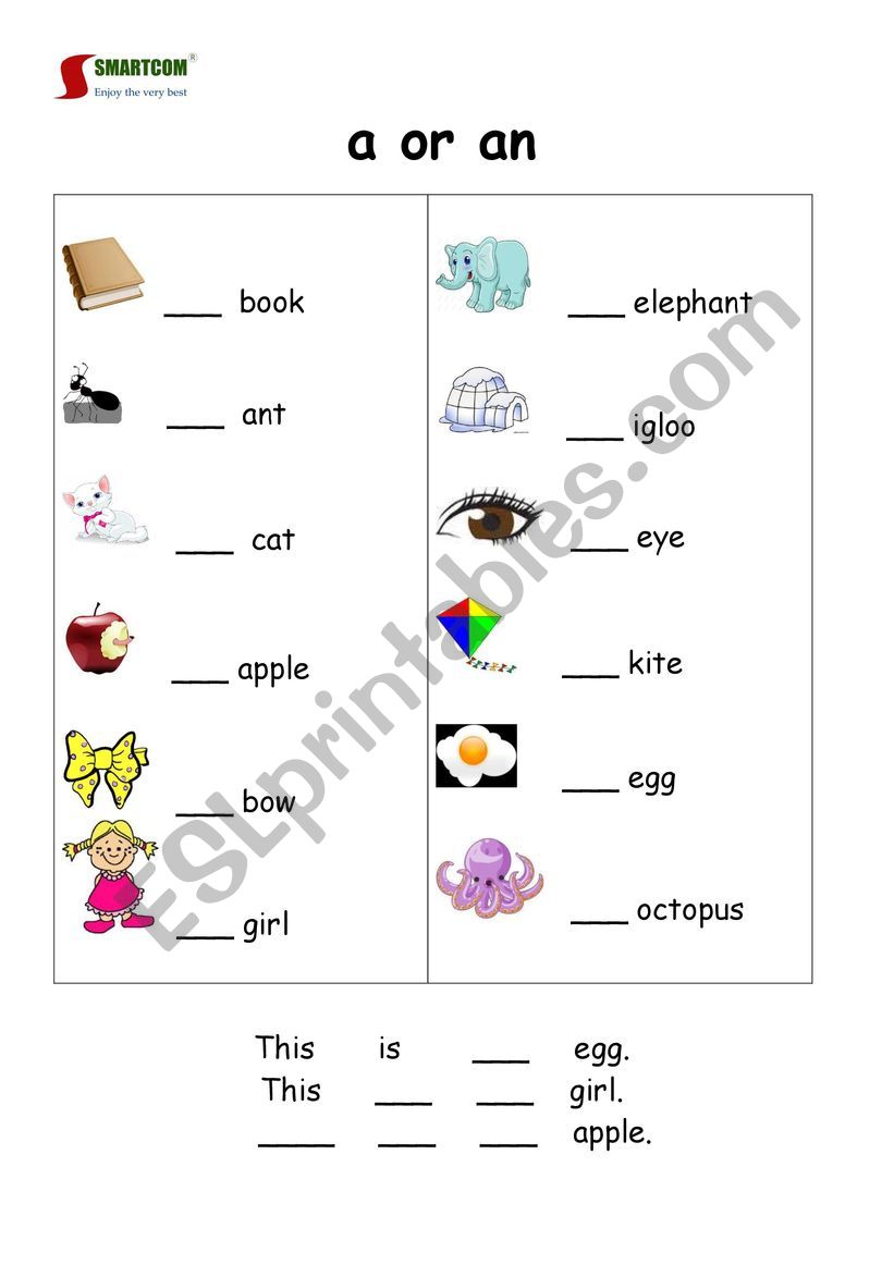 A - An worksheet