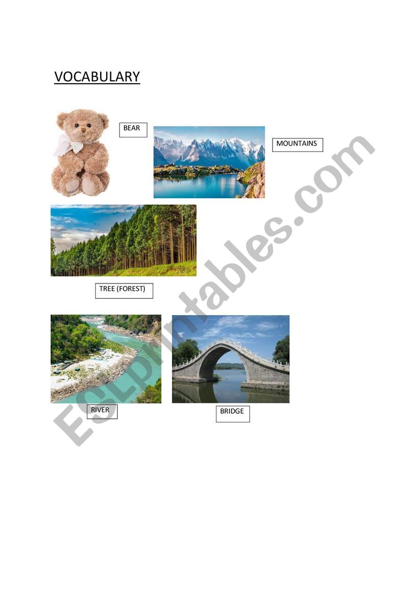 Landscape Vocab worksheet