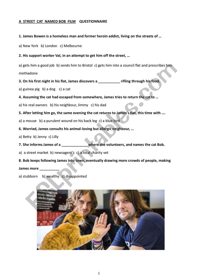 A SREET CAT NAMED BOB film  QUESTIONNAIRE