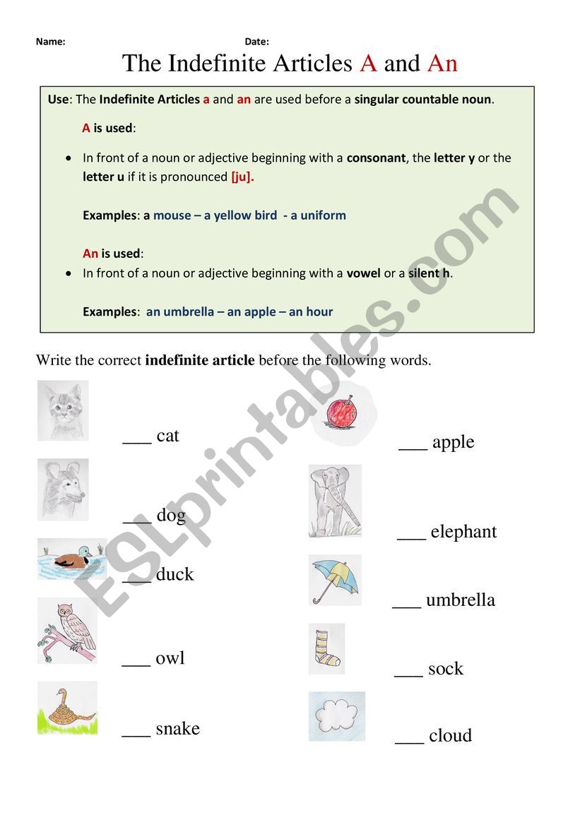 A/AN worksheet