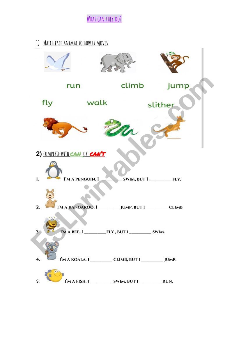 What can animals do? - ESL worksheet by florbatistoni