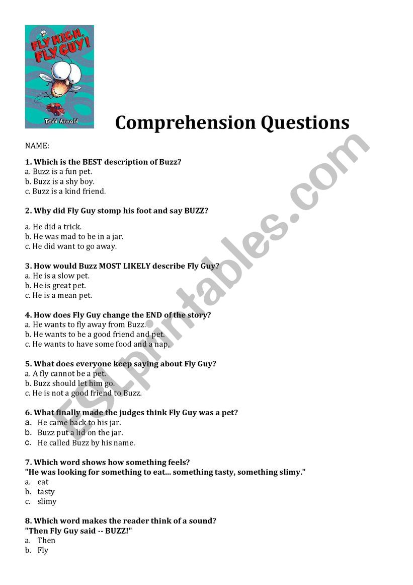 Fly Guy comprehension test  worksheet