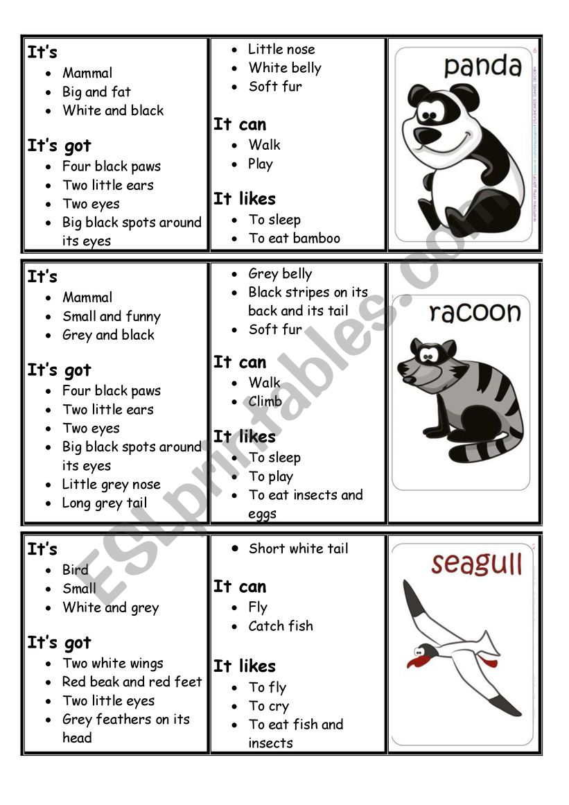 Describe the animals worksheet