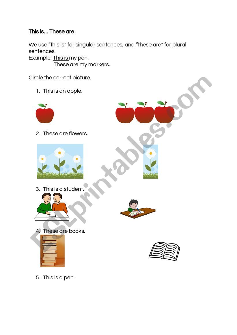 This/these worksheet worksheet