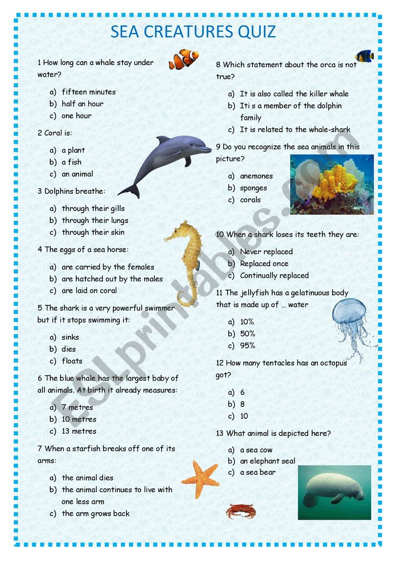 SEA CREATURES QUIZ ESL Worksheet By Bubika