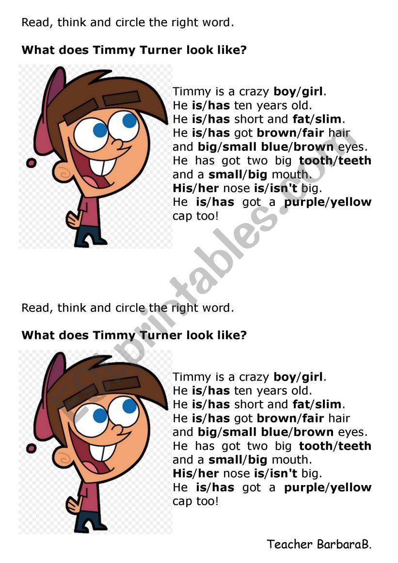 What does Timmy look like? worksheet