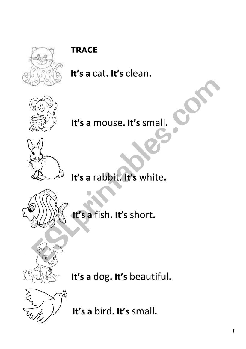 PETS AND ADJECTIVES worksheet