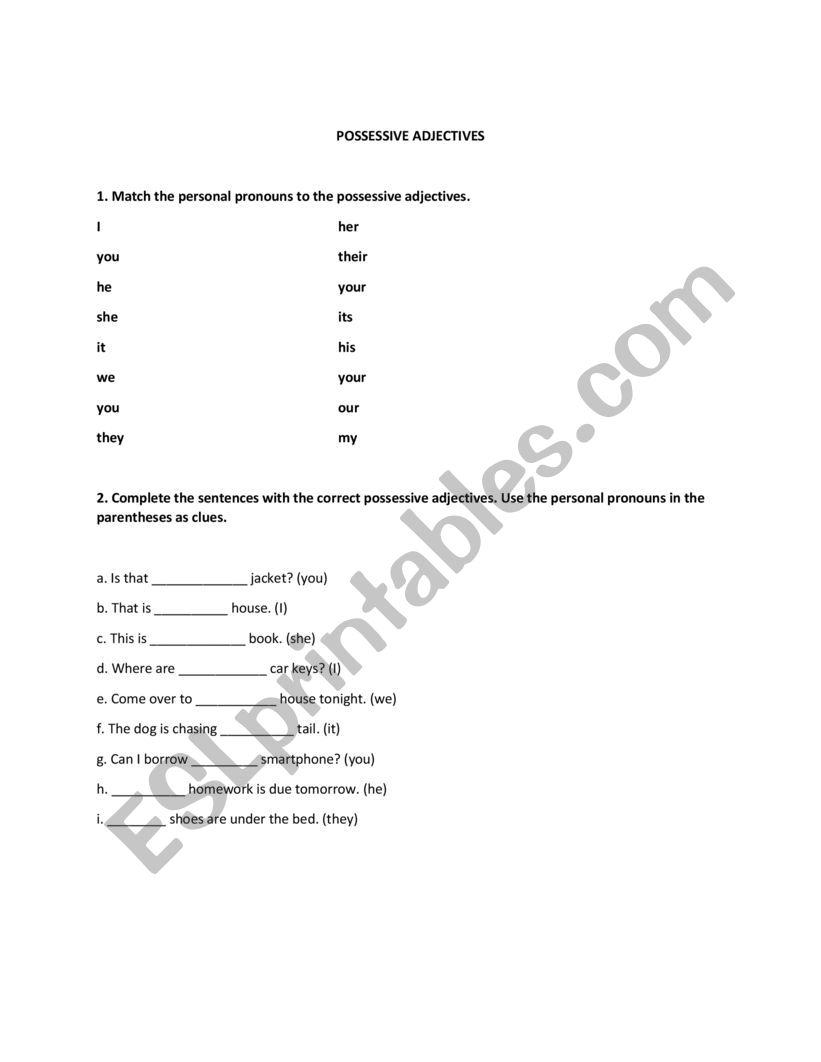 Possessive Adjectives worksheet