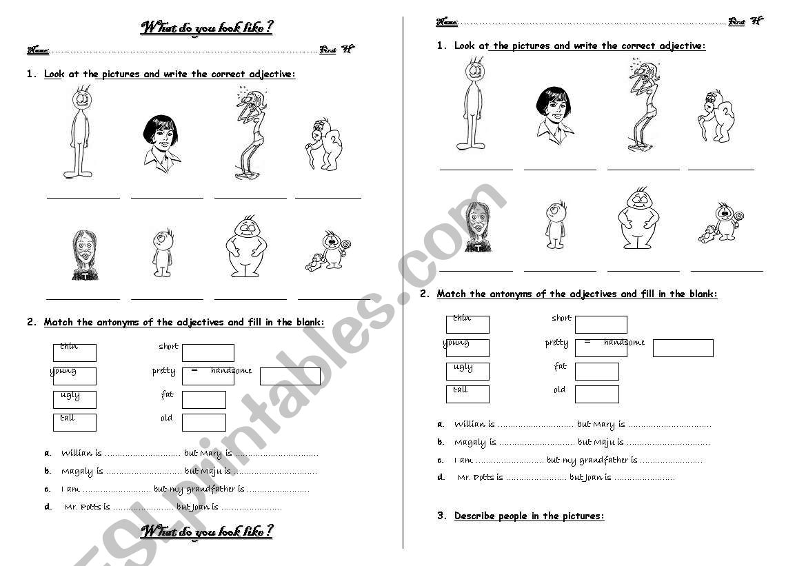 Describing People worksheet