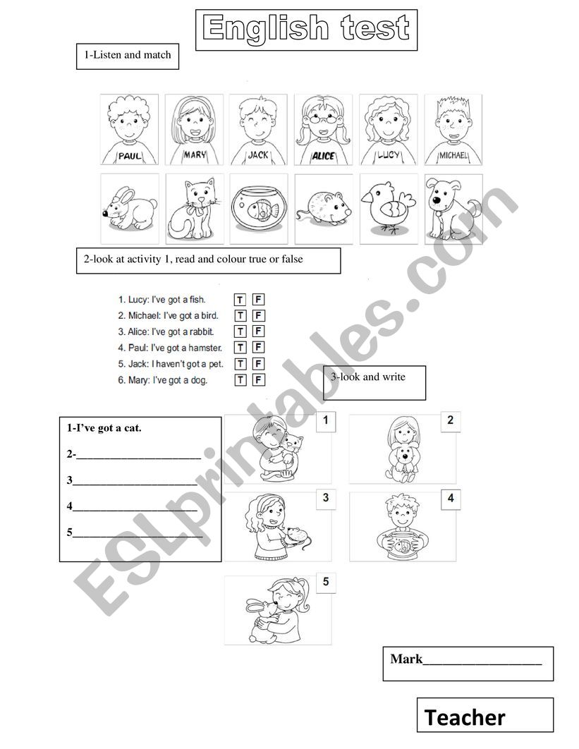 PETS worksheet