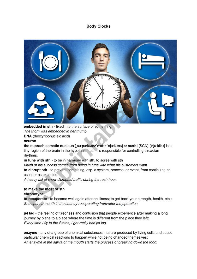 Body clocks worksheet