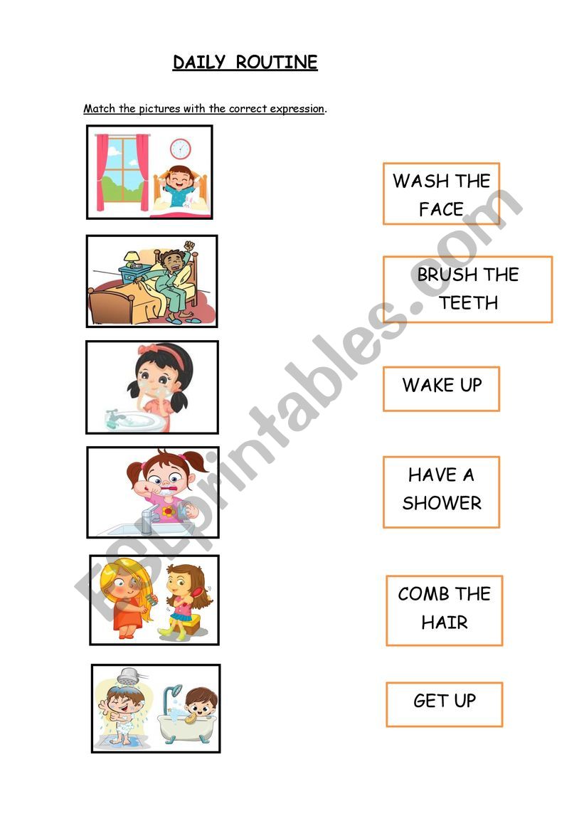 DAILY ROUTINE 1 PART worksheet