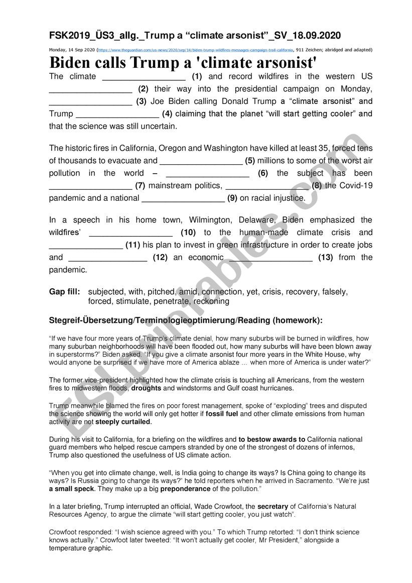 Translation Practice worksheet