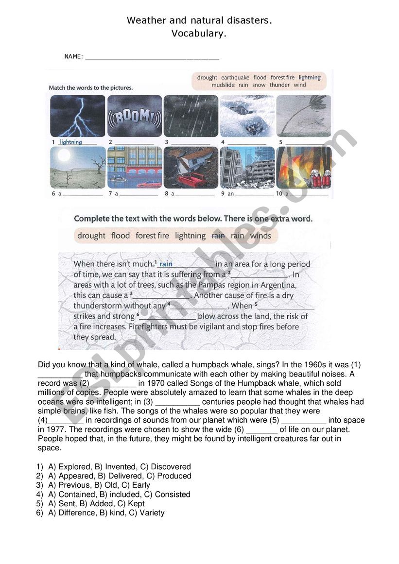 NATURAL DISASTERS  worksheet