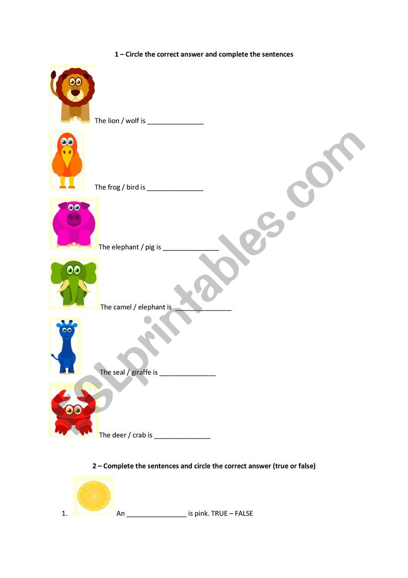 Animals and colors exercise worksheet