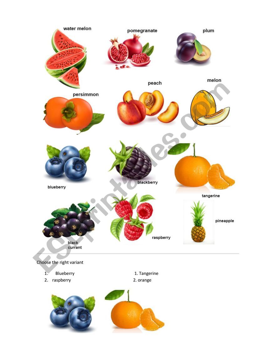Fruit and berries worksheet