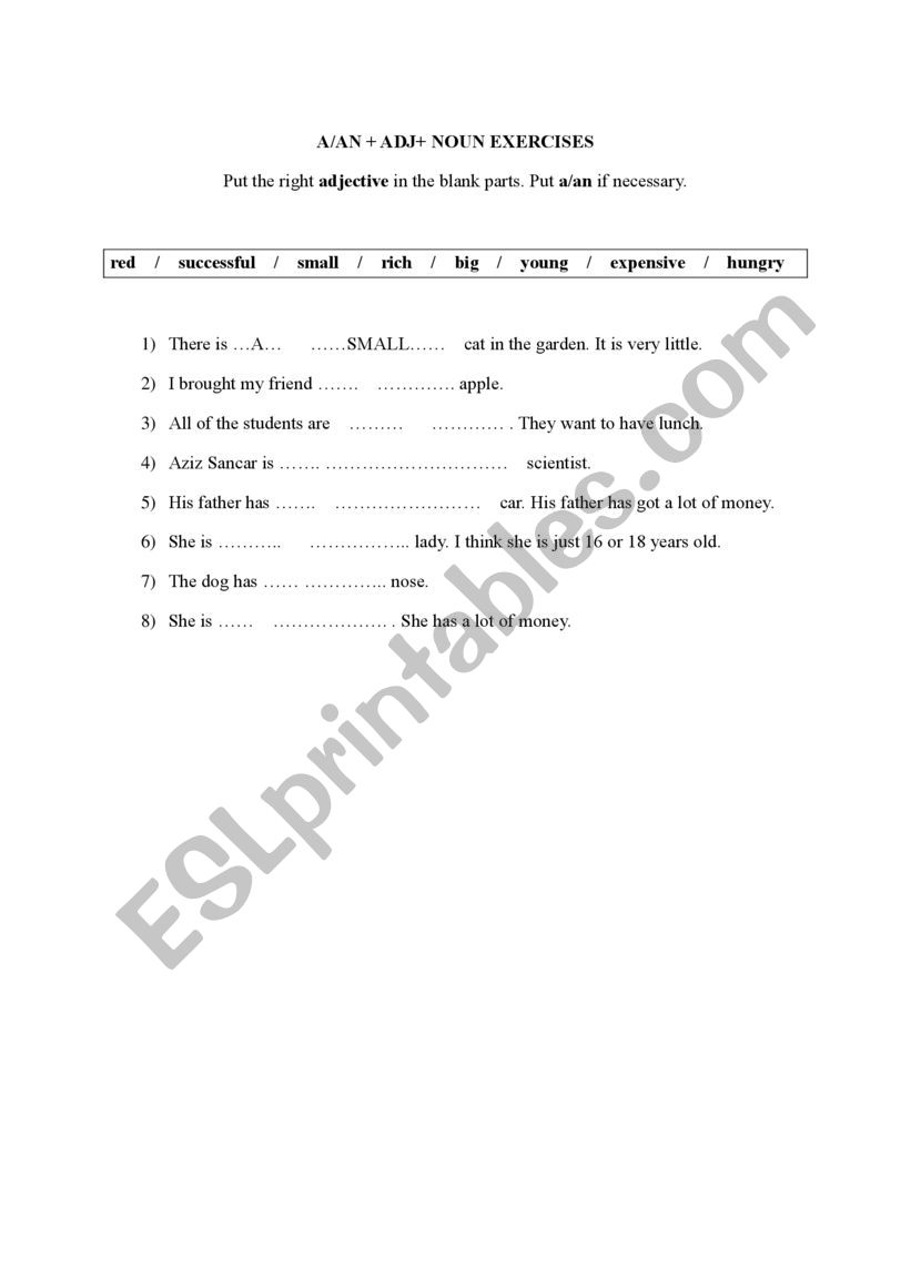 A-AN exercises worksheet